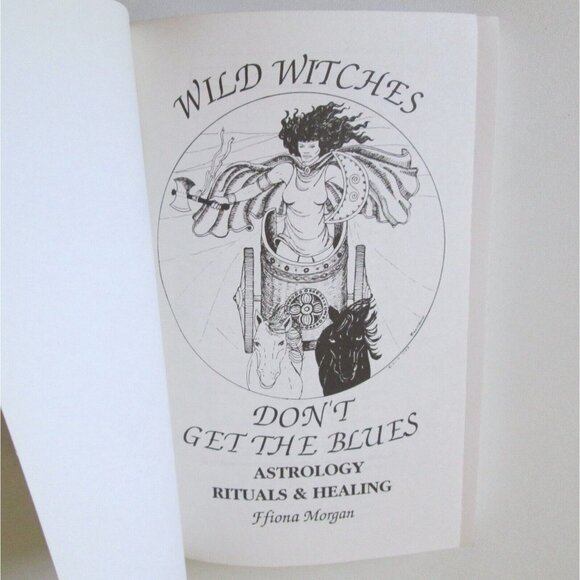 Wild Witches Don't Get The Blues Paperback Book Ffiona Morgan Wicca 1991 - Picture 2 of 9